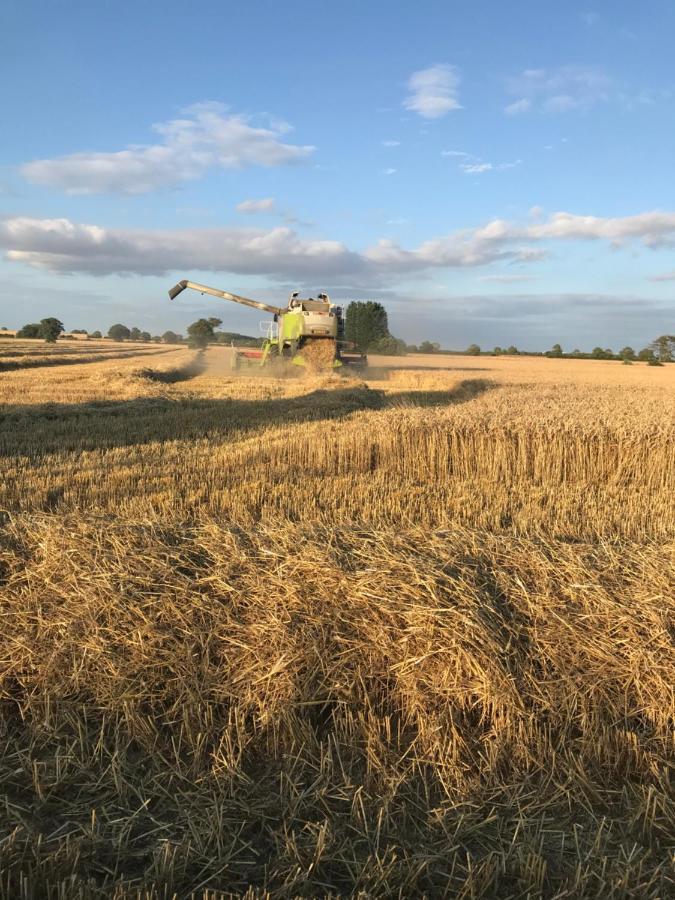 Church Farm, Legbourne Louth エクステリア 写真